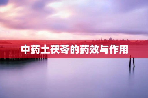 中药土茯苓的药效与作用