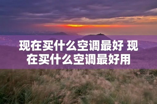 现在买什么空调最好 现在买什么空调最好用 现在买什么空调最好 现在买什么空调最好用