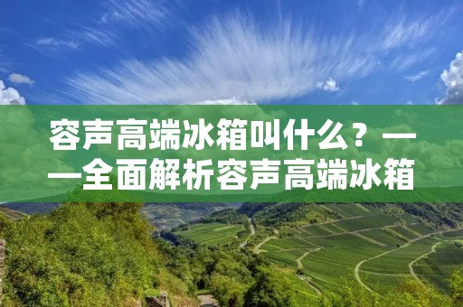 容声高端冰箱叫什么?——全面解析容声高端冰箱系列 容声高端冰箱叫什么?——全面解析容声高端冰箱系列