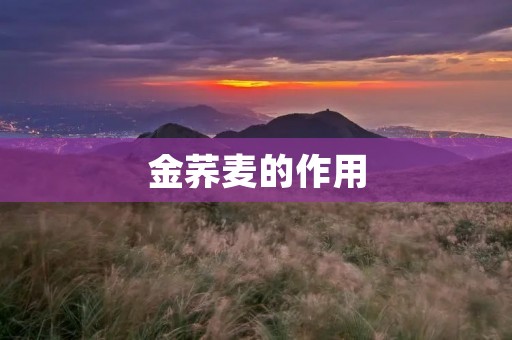 金荞麦的作用：从健康角度探究