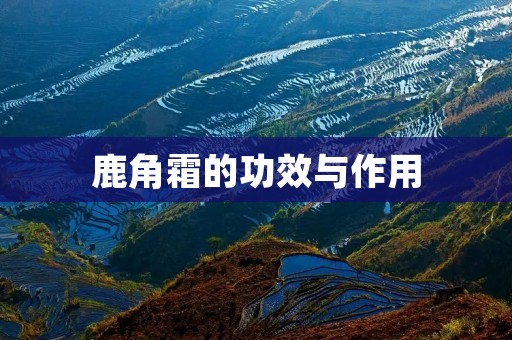 鹿角霜的功效与作用:深入肌肤修护,促进血液循环,改善肌肤质地 鹿角霜的功效与作用:深入肌肤修护,促进血液循环,改善肌肤质地