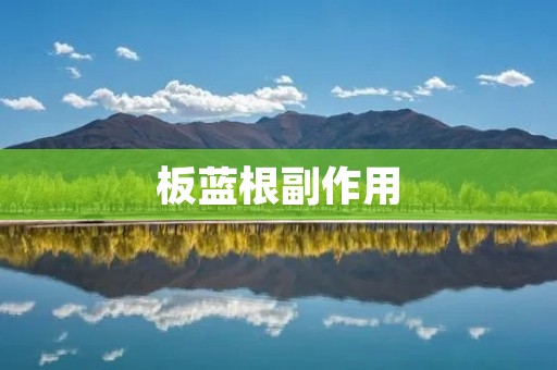 板蓝根副作用：剖析其可能引发的健康问题