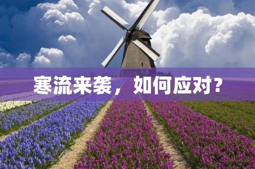 寒流来袭，如何应对？
