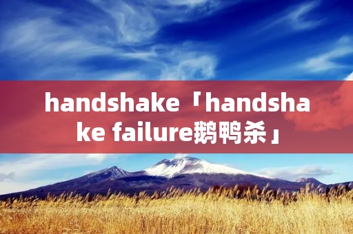 handshake「handshake failure鹅鸭杀」