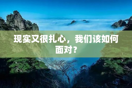 现实又很扎心,我们该如何面对?