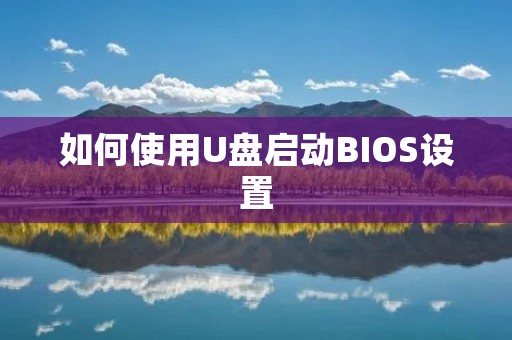 如何使用U盘启动BIOS设置