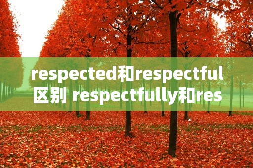 respected和respectful区别 respectfully和respectably