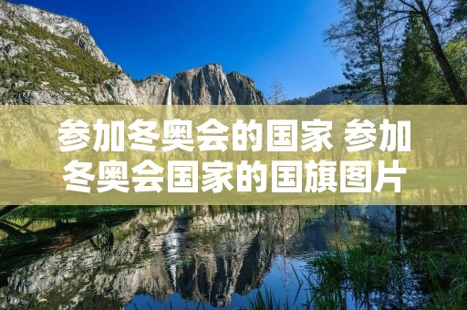 参加冬奥会的国家 参加冬奥会国家的国旗图片