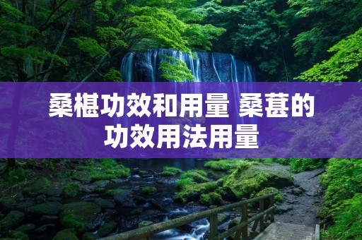 桑椹功效和用量 桑葚的功效用法用量 桑椹功效和用量 桑葚的功效用法用量