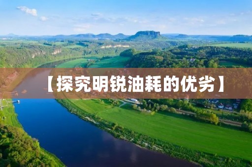 【探究明锐油耗的优劣】 【探究明锐油耗的优劣】