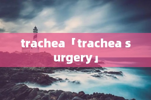 trachea「trachea surgery」 trachea「trachea surgery」