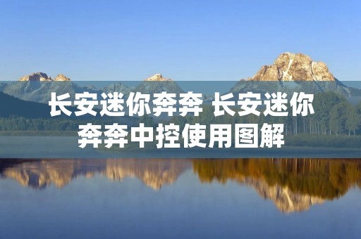 长安迷你奔奔 长安迷你奔奔中控使用图解