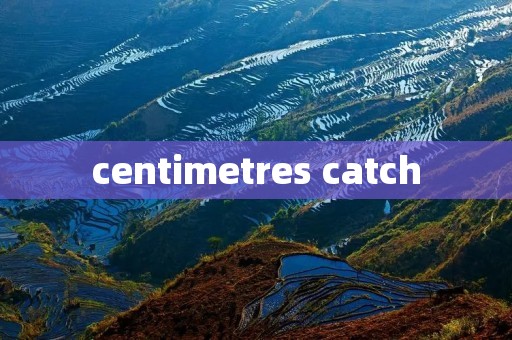 centimetres catch centimetres catch