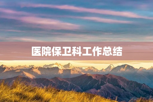 医院保卫科工作总结