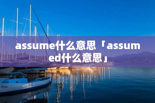 assume什么意思「assumed什么意思」