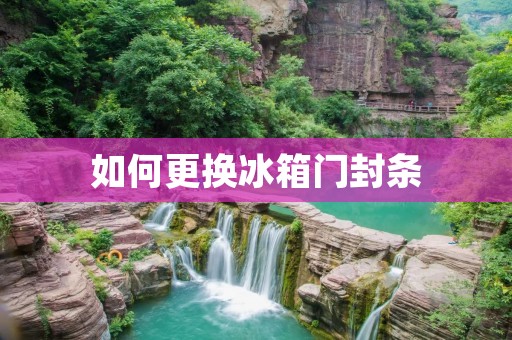 如何更换冰箱门封条