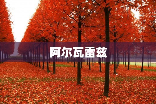 阿尔瓦雷兹:拳坛传奇的不朽荣耀 阿尔瓦雷兹:拳坛传奇的不朽荣耀