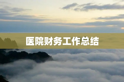 医院财务工作总结