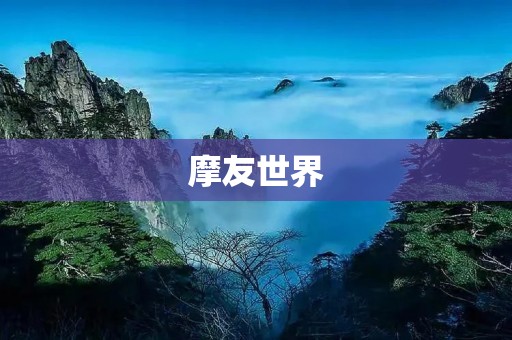 摩友世界：骑行爱好者的乐园