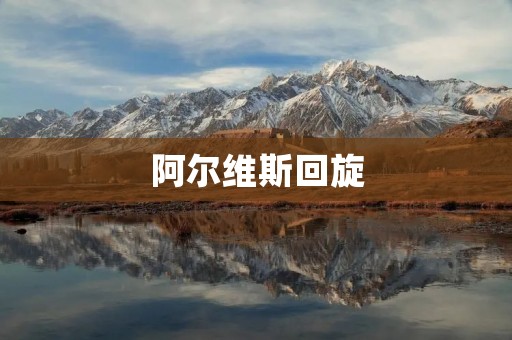 阿尔维斯回旋:足球世界的经典技巧 阿尔维斯回旋:足球世界的经典技巧