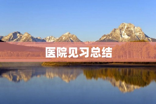 医院见习总结:深度体验医护工作的精彩与艰辛
