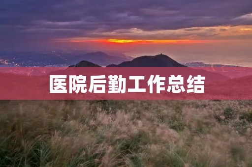 医院后勤工作总结