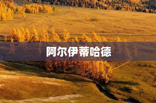 阿尔伊蒂哈德:一个富有争议的足球俱乐部 阿尔伊蒂哈德:一个富有争议的足球俱乐部