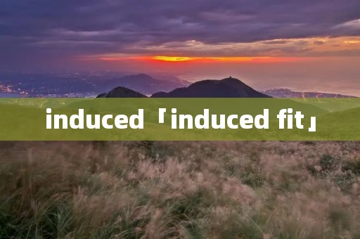 induced「induced fit」
