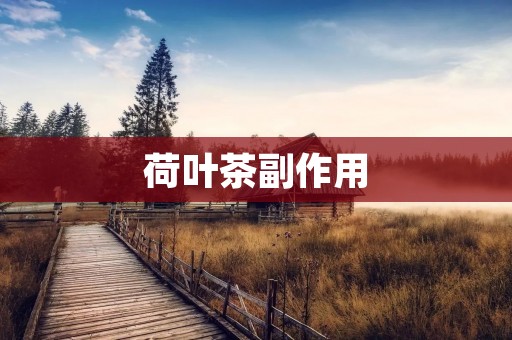 荷叶茶副作用：了解这些注意事项，让你更安心喝荷叶茶