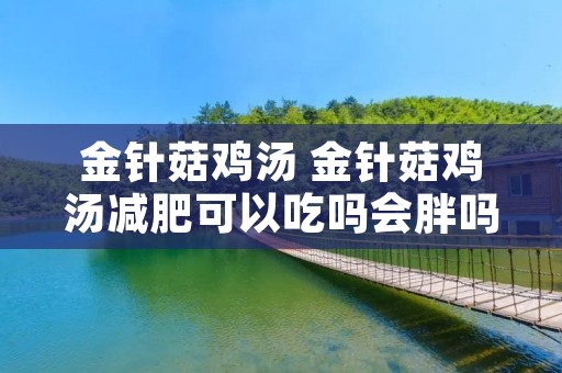 金针菇鸡汤 金针菇鸡汤减肥可以吃吗会胖吗