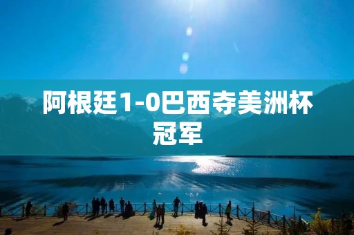 阿根廷1-0巴西夺美洲杯冠军