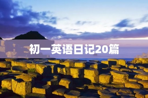 初一英语日记20篇