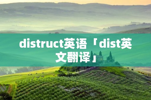 distruct英语「dist英文翻译」