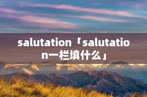 salutation「salutation一栏填什么」