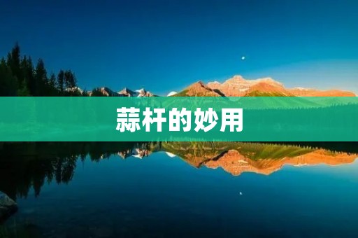 蒜杆的妙用：多种做法让你爱不释手