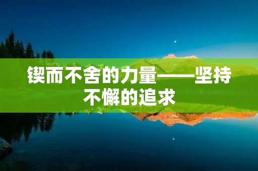 锲而不舍的力量——坚持不懈的追求