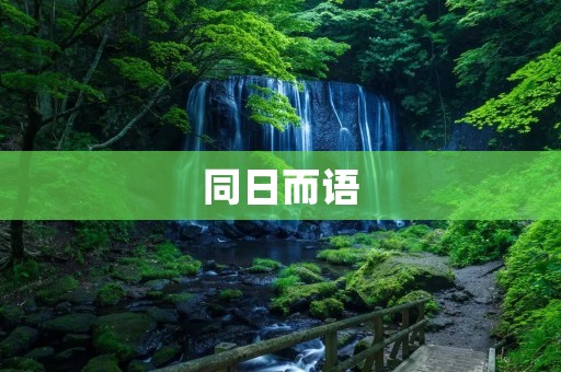 同日而语：探讨如何有效沟通