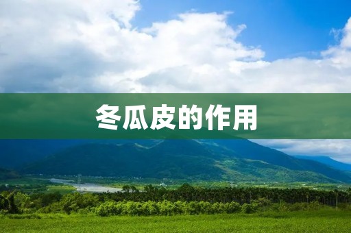 冬瓜皮的作用:解暑降温,清热利尿,降血脂 冬瓜皮的作用:解暑降温,清热利尿,降血脂