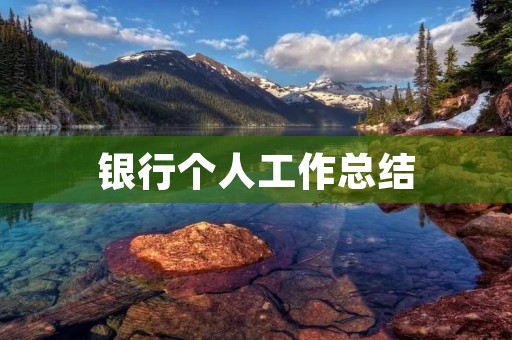 银行个人工作总结