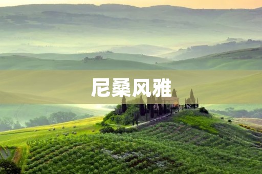 尼桑风雅:时尚与实用的完美结合 尼桑风雅:时尚与实用的完美结合