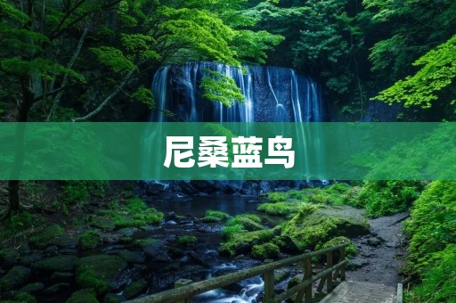 尼桑蓝鸟:经典车型的演进之路 尼桑蓝鸟:经典车型的演进之路