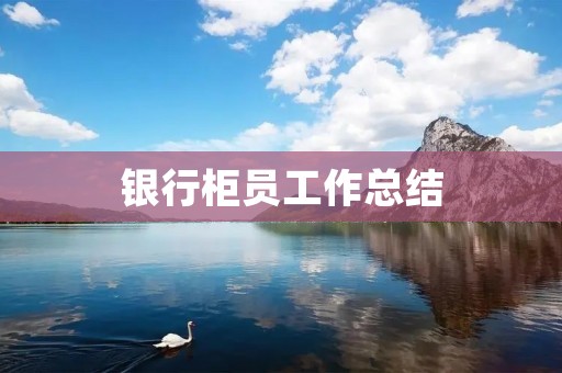 银行柜员工作总结