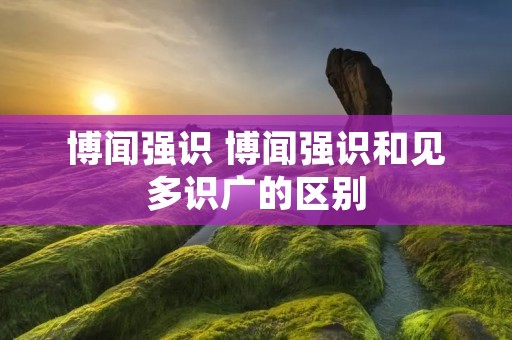 博闻强识 博闻强识和见多识广的区别