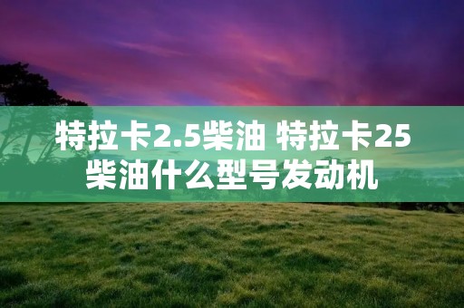 特拉卡2.5柴油 特拉卡25柴油什么型号发动机 特拉卡2.5柴油 特拉卡25柴油什么型号发动机