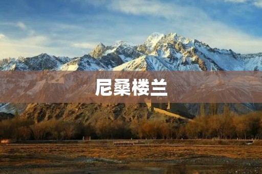 尼桑楼兰:一款强劲的SUV 尼桑楼兰:一款强劲的SUV