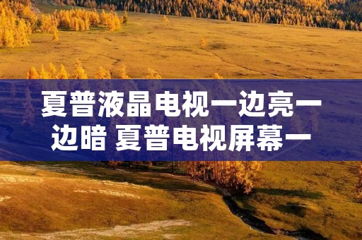夏普液晶电视一边亮一边暗 夏普电视屏幕一半亮一半暗 夏普液晶电视一边亮一边暗 夏普电视屏幕一半亮一半暗