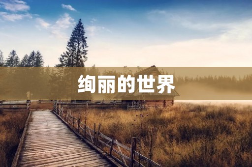 绚丽的世界：探寻色彩的奥秘