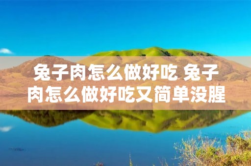 兔子肉怎么做好吃 兔子肉怎么做好吃又简单没腥味视频