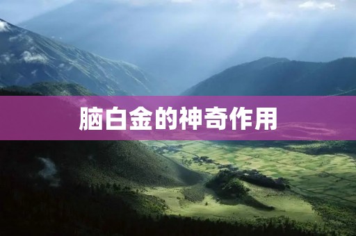脑白金的神奇作用：提高认知能力和保护神经系统