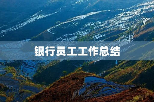 银行员工工作总结